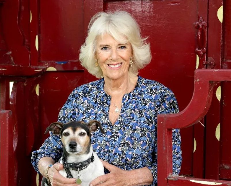 Camilla Bowles (Foto> Reprodução/Instagram/@theroyalfamily)